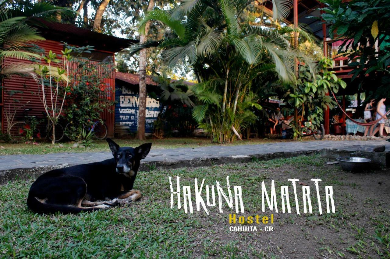 Hakuna Matata Hostel Кахуіта Екстер'єр фото